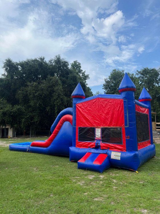 bounce house with dual lane slides